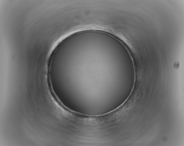 X0000091581508200709101007