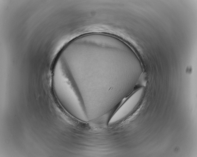 X0000091581509200709101007