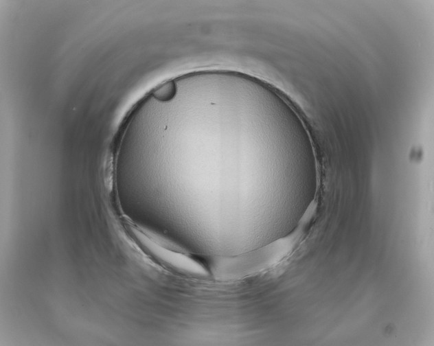 X0000091581510200709101007