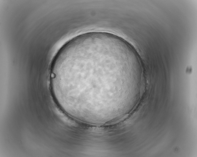 X0000091581511200709101007