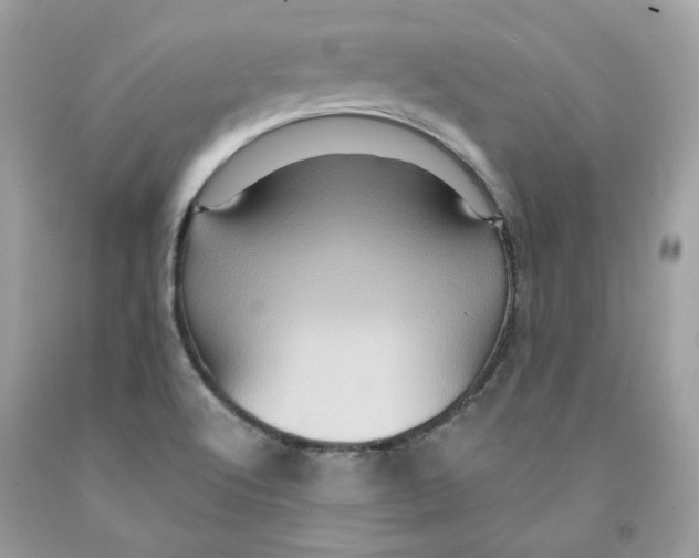 X0000091581512200709101007