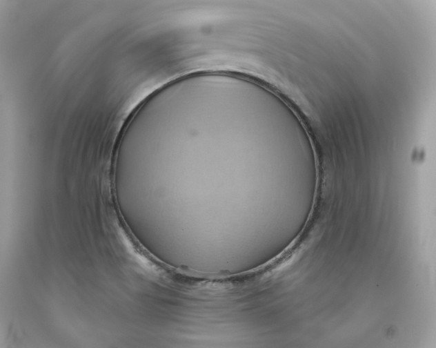 X0000091581513200709101007