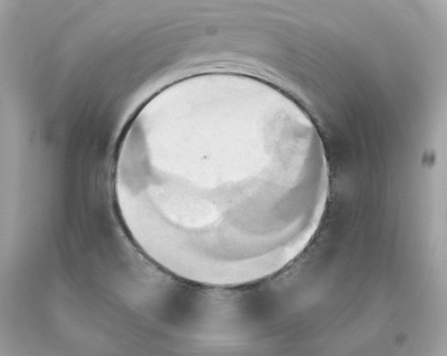 X0000091581514200709101007