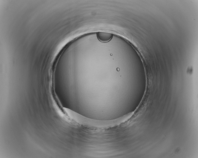 X0000091581515200709101007