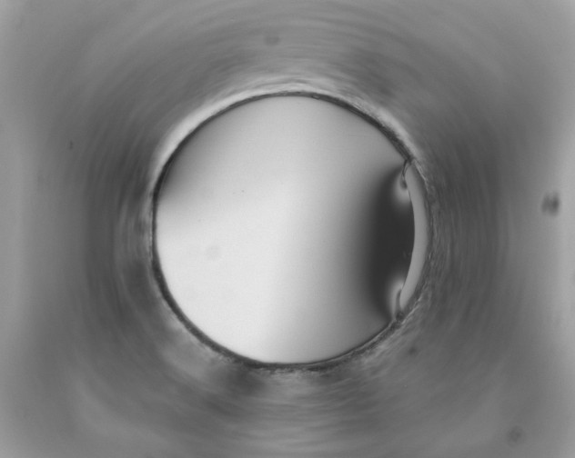 X0000091581516200709101007