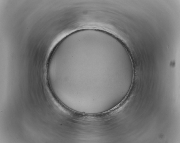 X0000091581517200709101007