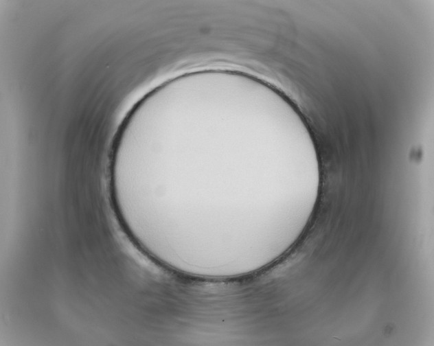 X0000091581518200709101007