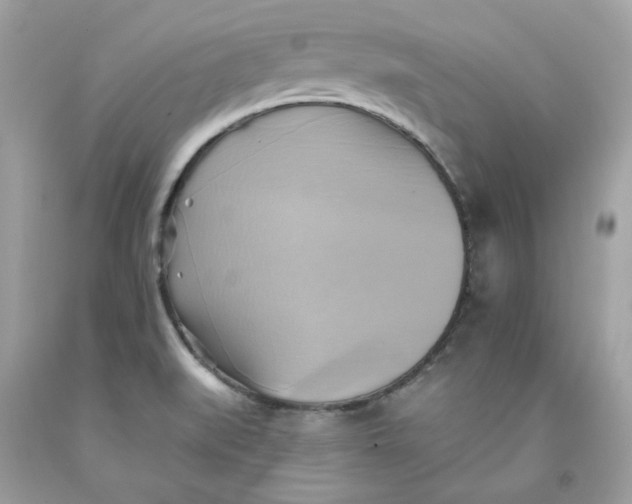 X0000091581519200709101007