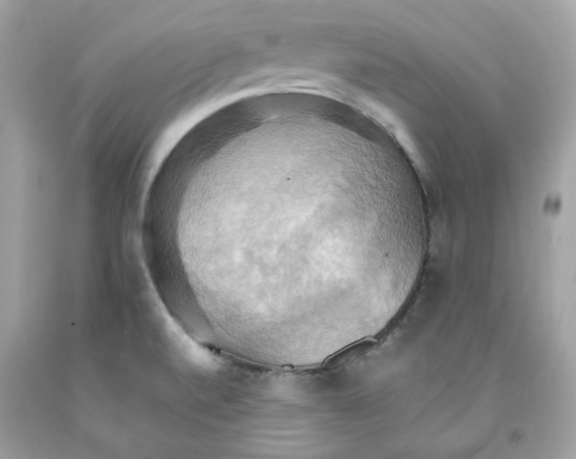 X0000091581520200709101007