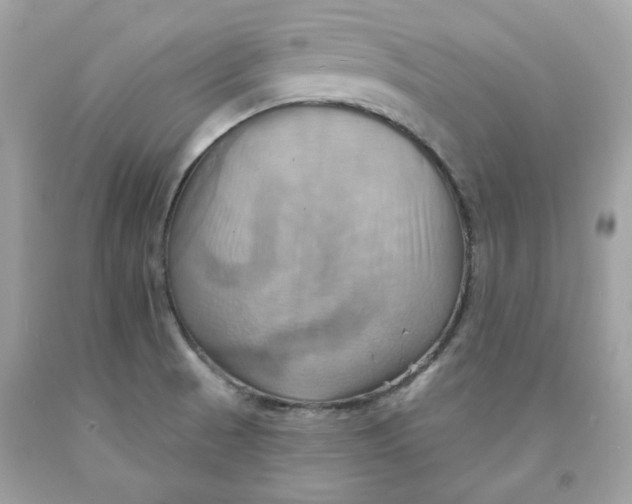 X0000091581521200709101007