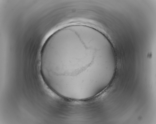 X0000091581522200709101007