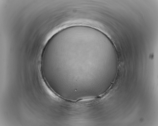 X0000091581523200709101007