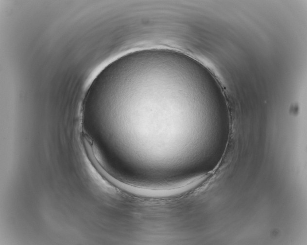 X0000091581524200709101007