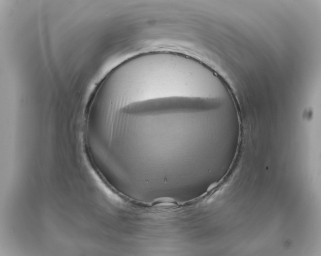 X0000091581525200709101007