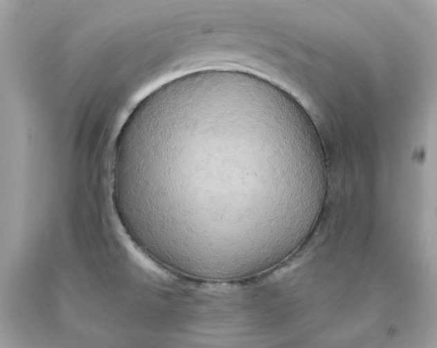 X0000091581526200709101007