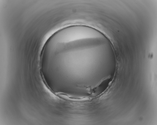 X0000091581527200709101007