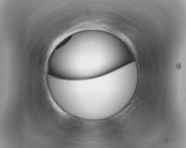 X0000091581528200709101007