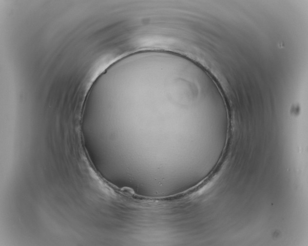 X0000091581529200709101007