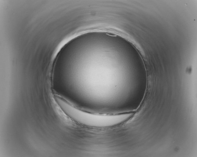 X0000091581530200709101007