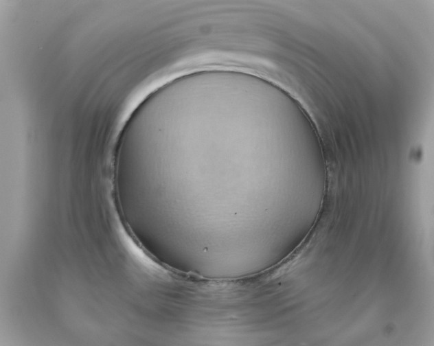 X0000091581531200709101007