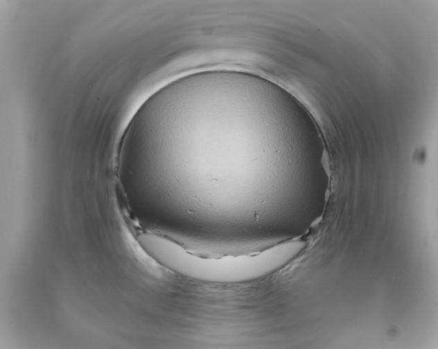 X0000091581532200709101007