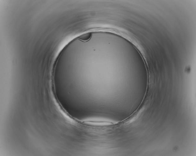 X0000091581533200709101007