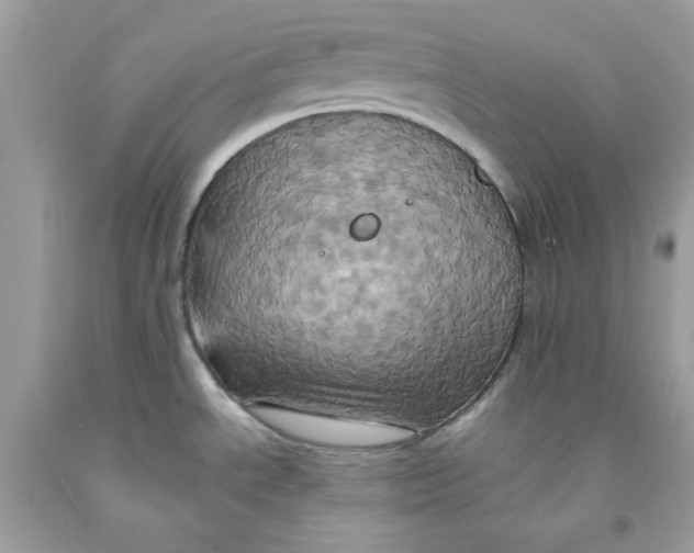 X0000091581534200709101007