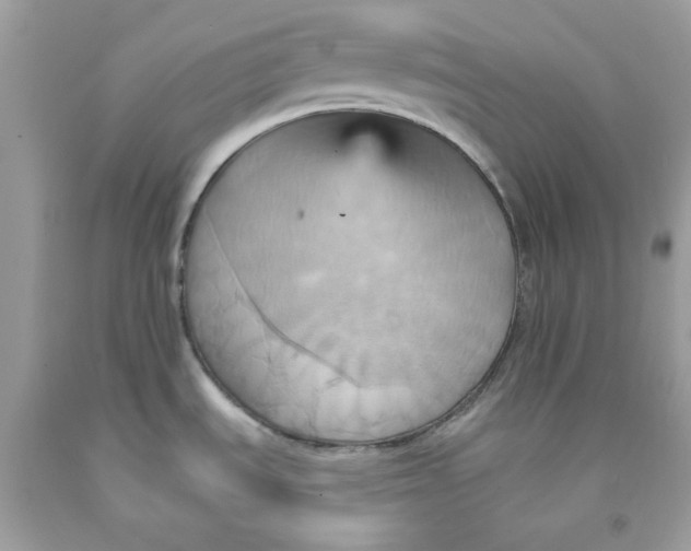 X0000091581535200709101007