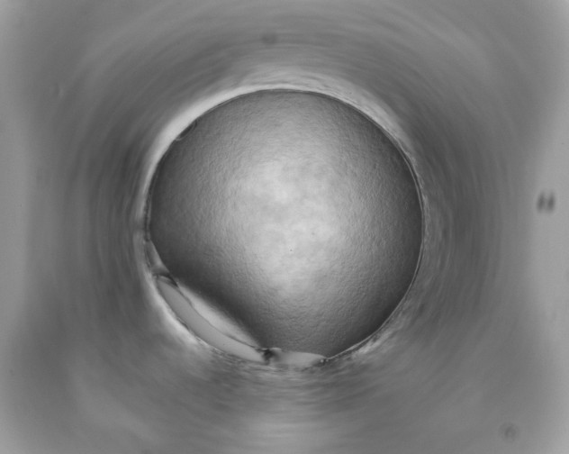 X0000091581536200709101007