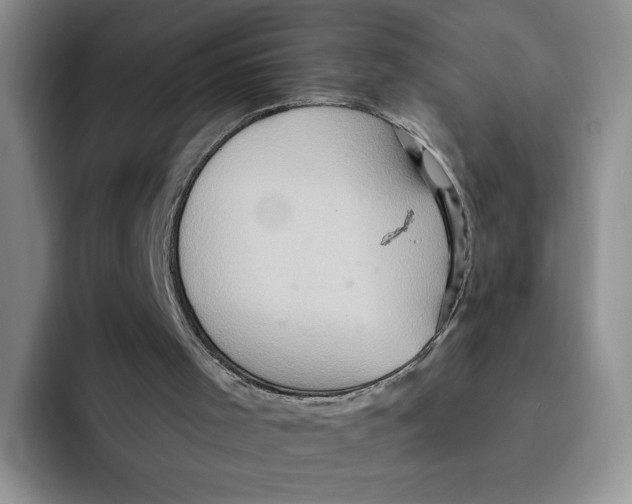 X0000091580001200709171124