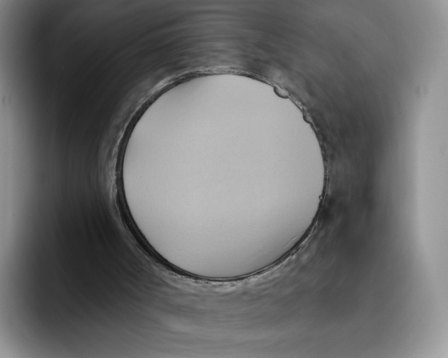 X0000091580002200709171124