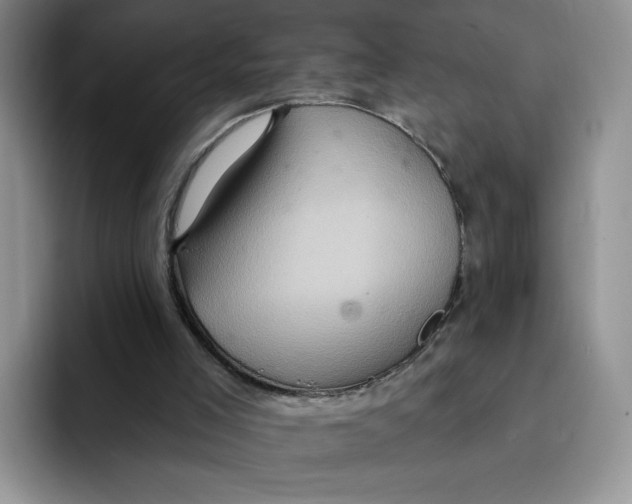 X0000091580005200709171124