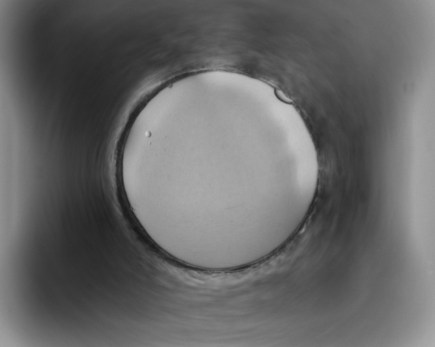 X0000091580006200709171124