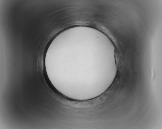 X0000091580011200709171124