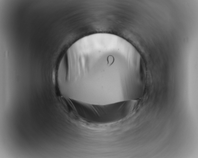 X0000091580019200709171124
