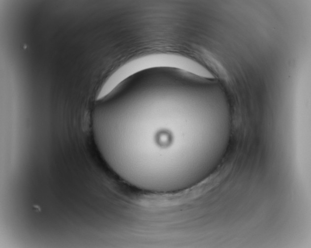 X0000091580025200709171124