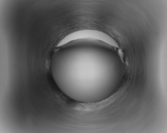 X0000091580033200709171124