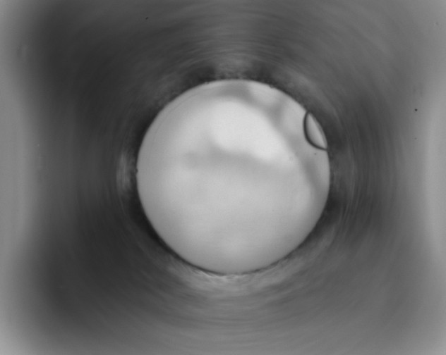 X0000091580038200709171124