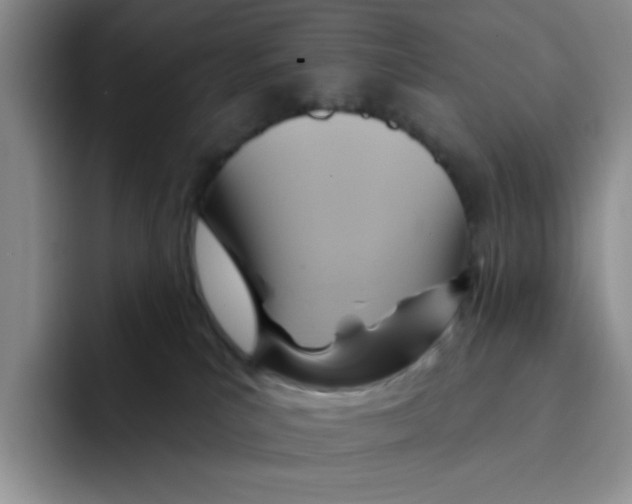 X0000091580039200709171124