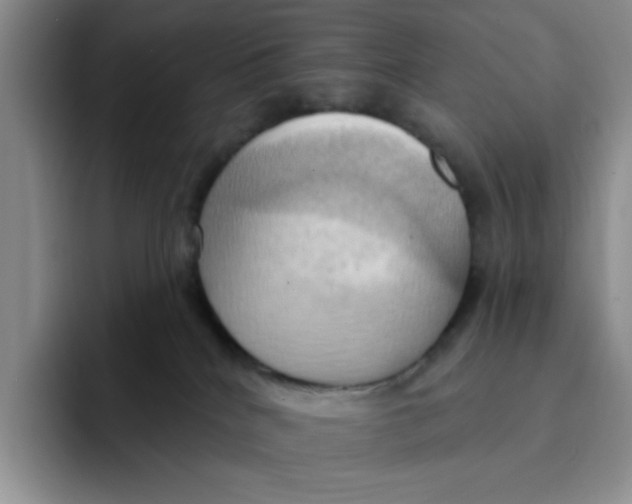 X0000091580040200709171124