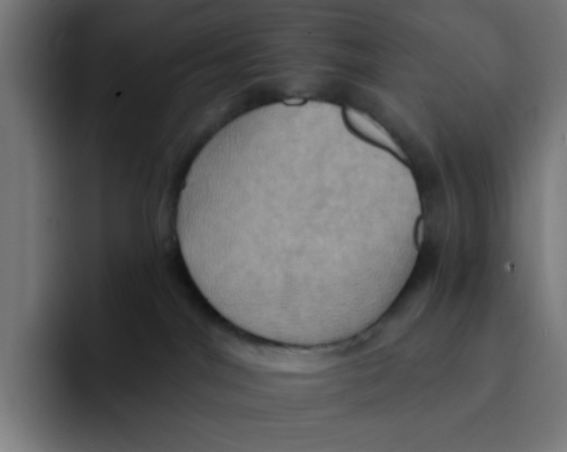 X0000091580044200709171124