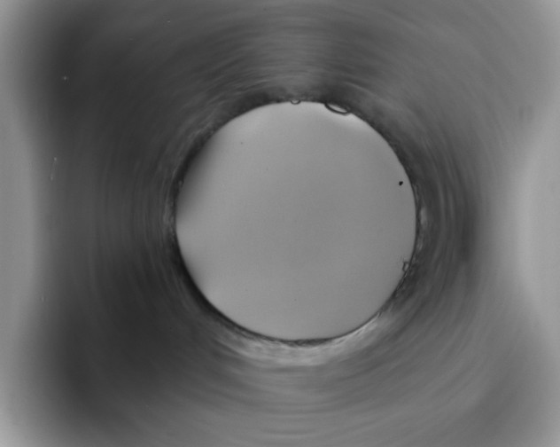 X0000091580048200709171124