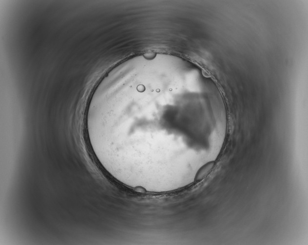 X0000091580049200709171123