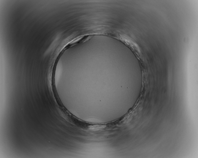 X0000091580051200709171123