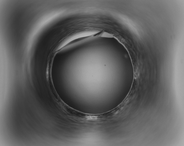 X0000091580052200709171123