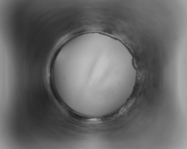 X0000091580053200709171123