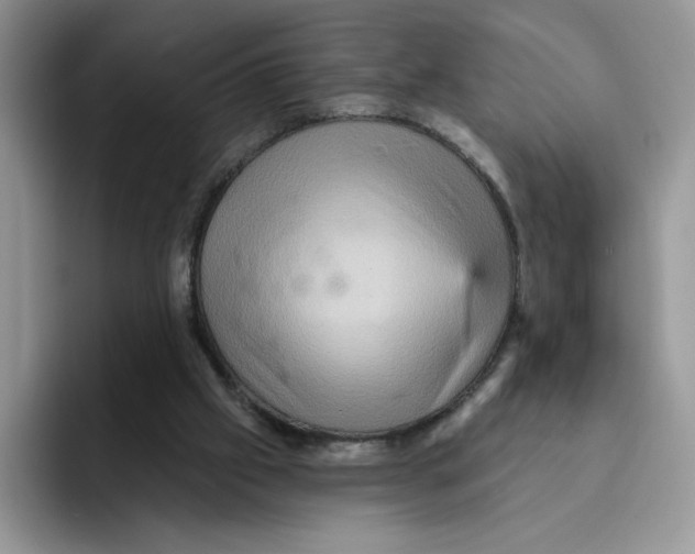 X0000091580057200709171123