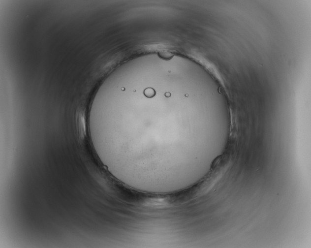 X0000091580061200709171123