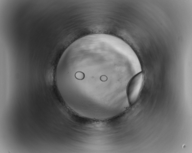 X0000091580065200709171123
