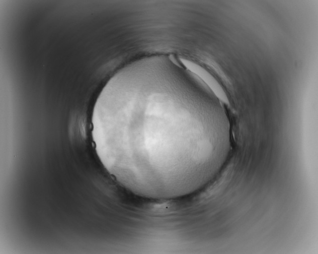 X0000091580068200709171123